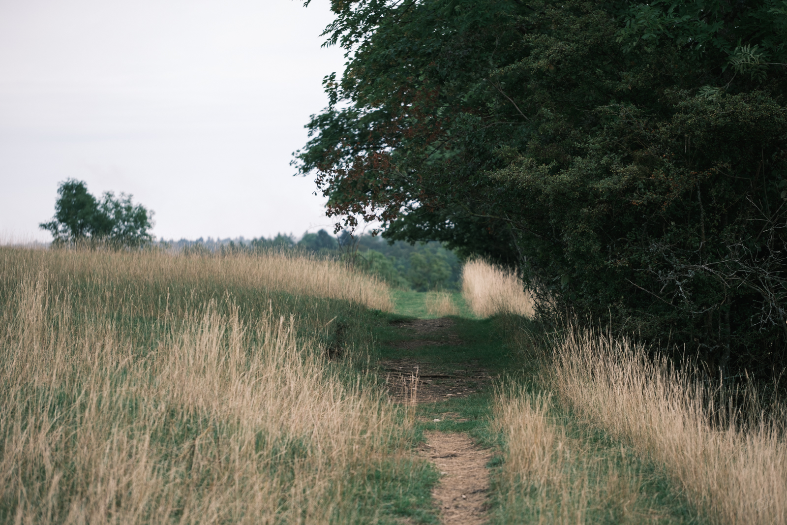  Rainer Wiest Kommunikationsdesign Portfoliobild