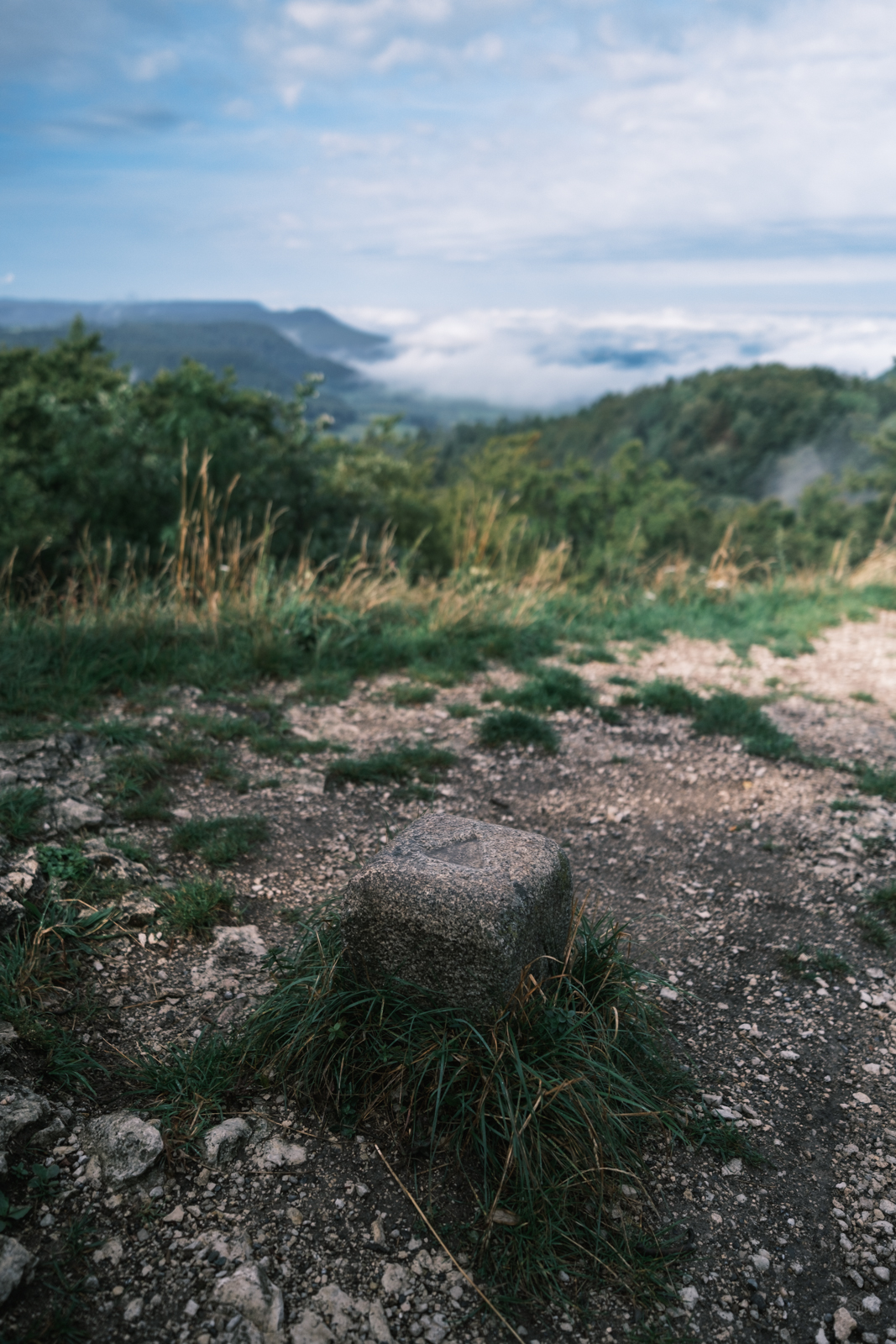  Rainer Wiest Kommunikationsdesign Portfoliobild