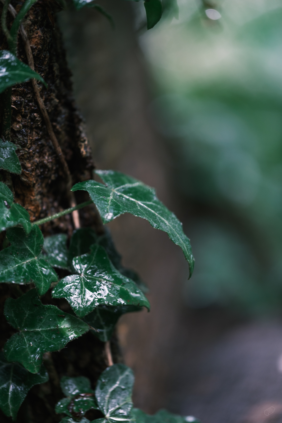  Rainer Wiest Kommunikationsdesign Portfoliobild