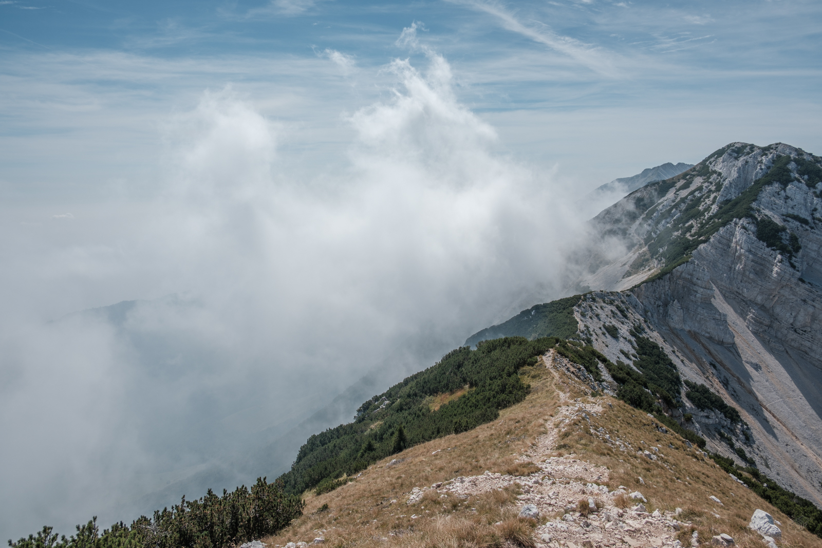  Rainer Wiest Kommunikationsdesign Portfoliobild