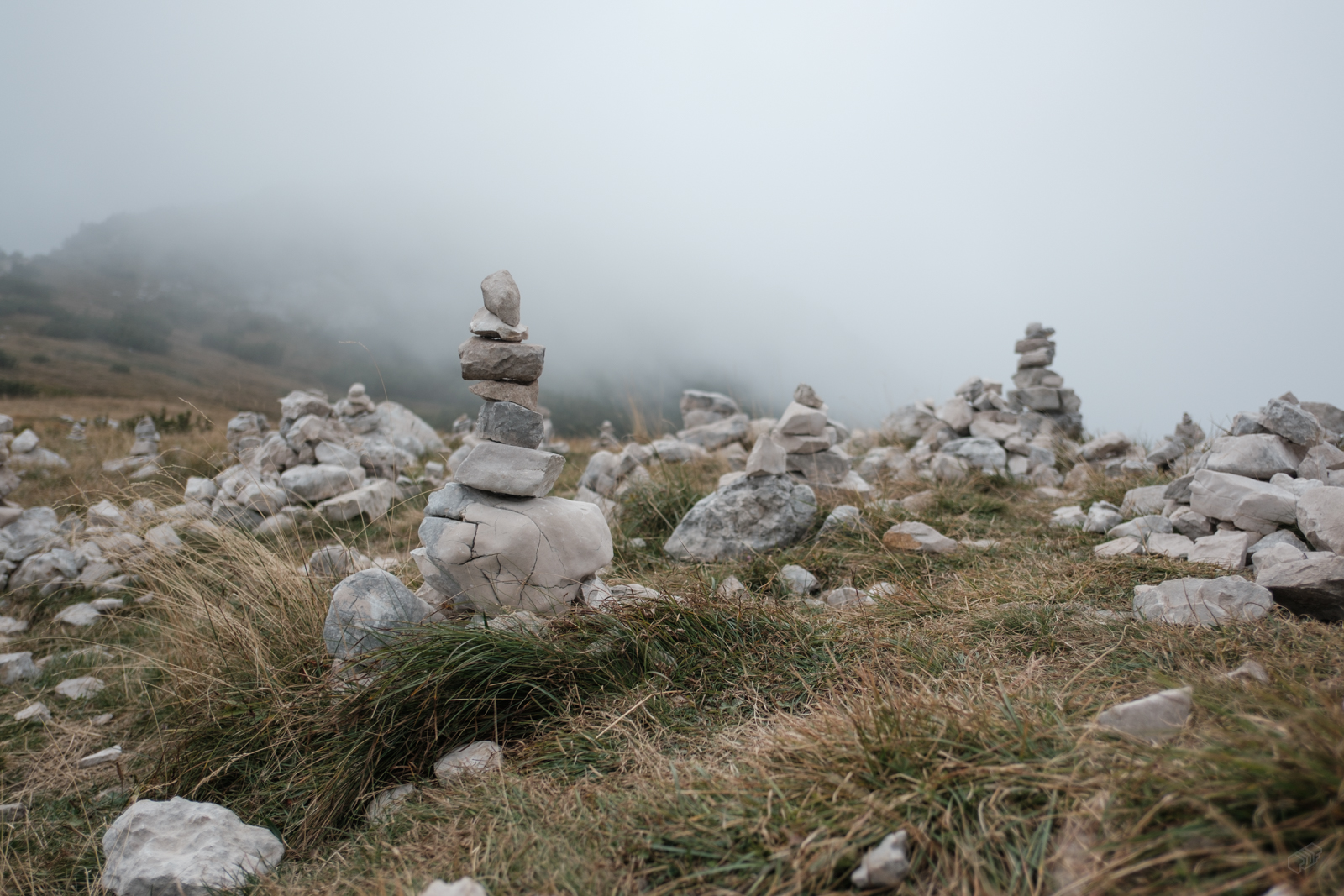  Rainer Wiest Kommunikationsdesign Portfoliobild