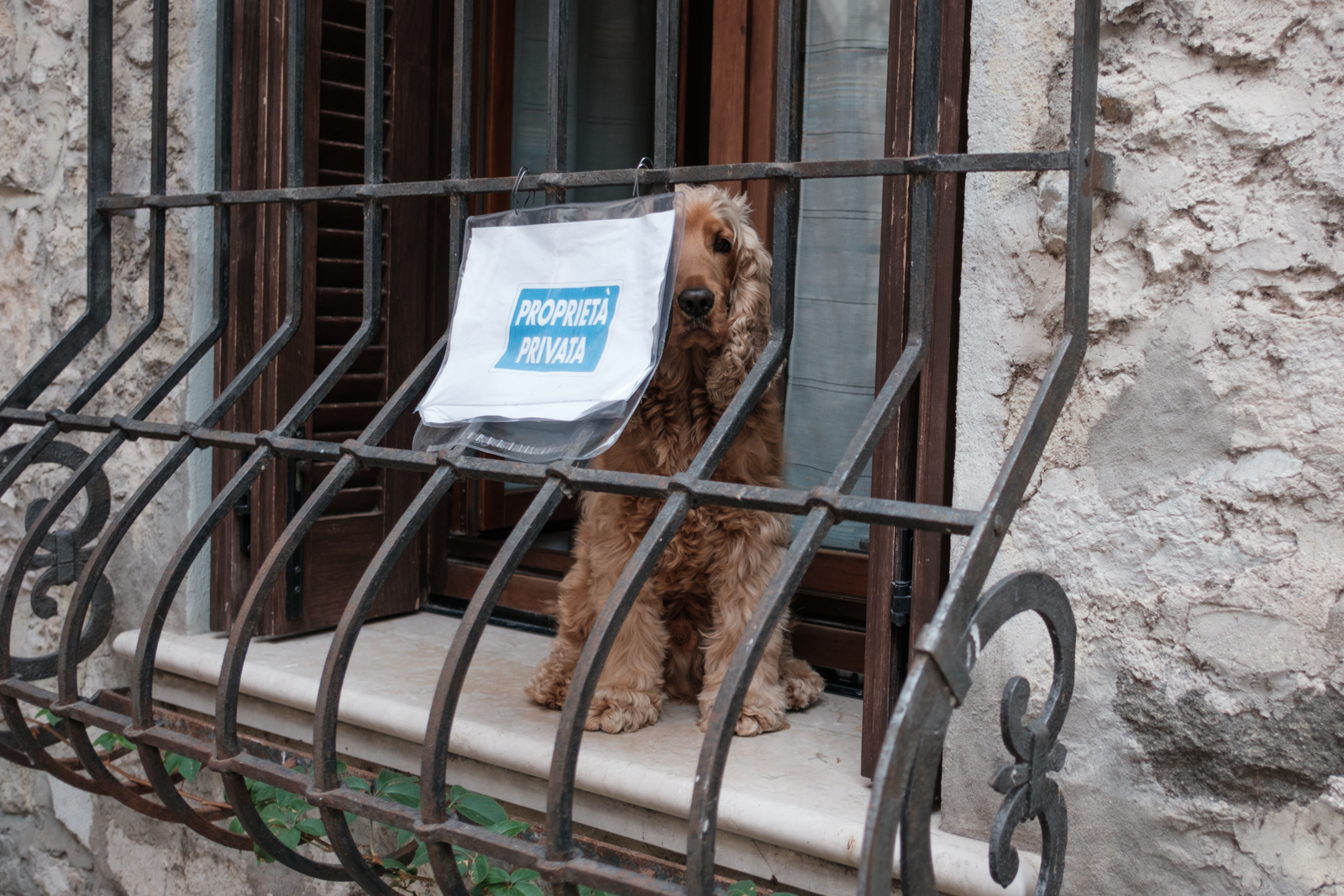  Rainer Wiest Kommunikationsdesign Portfoliobild