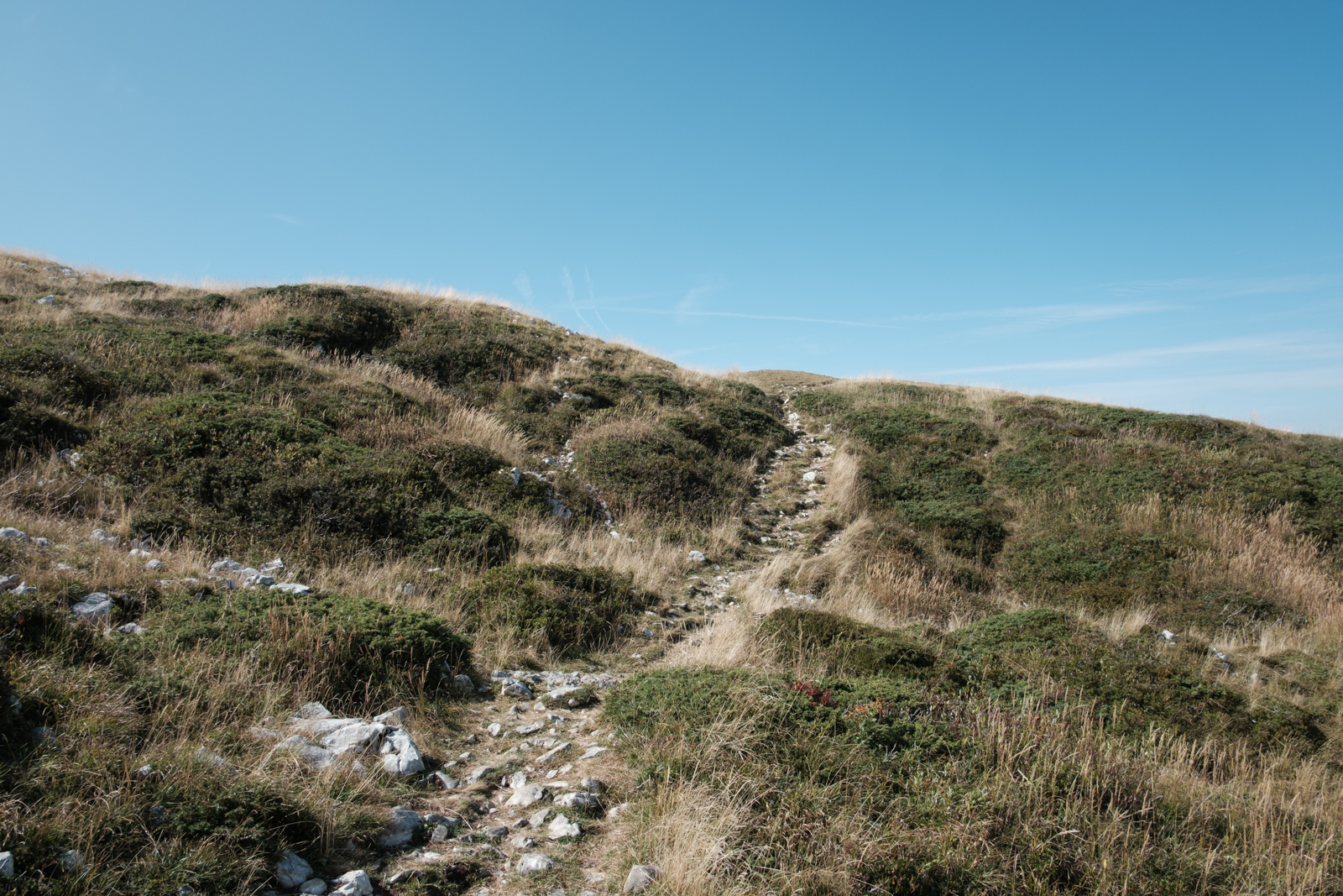  Rainer Wiest Kommunikationsdesign Portfoliobild