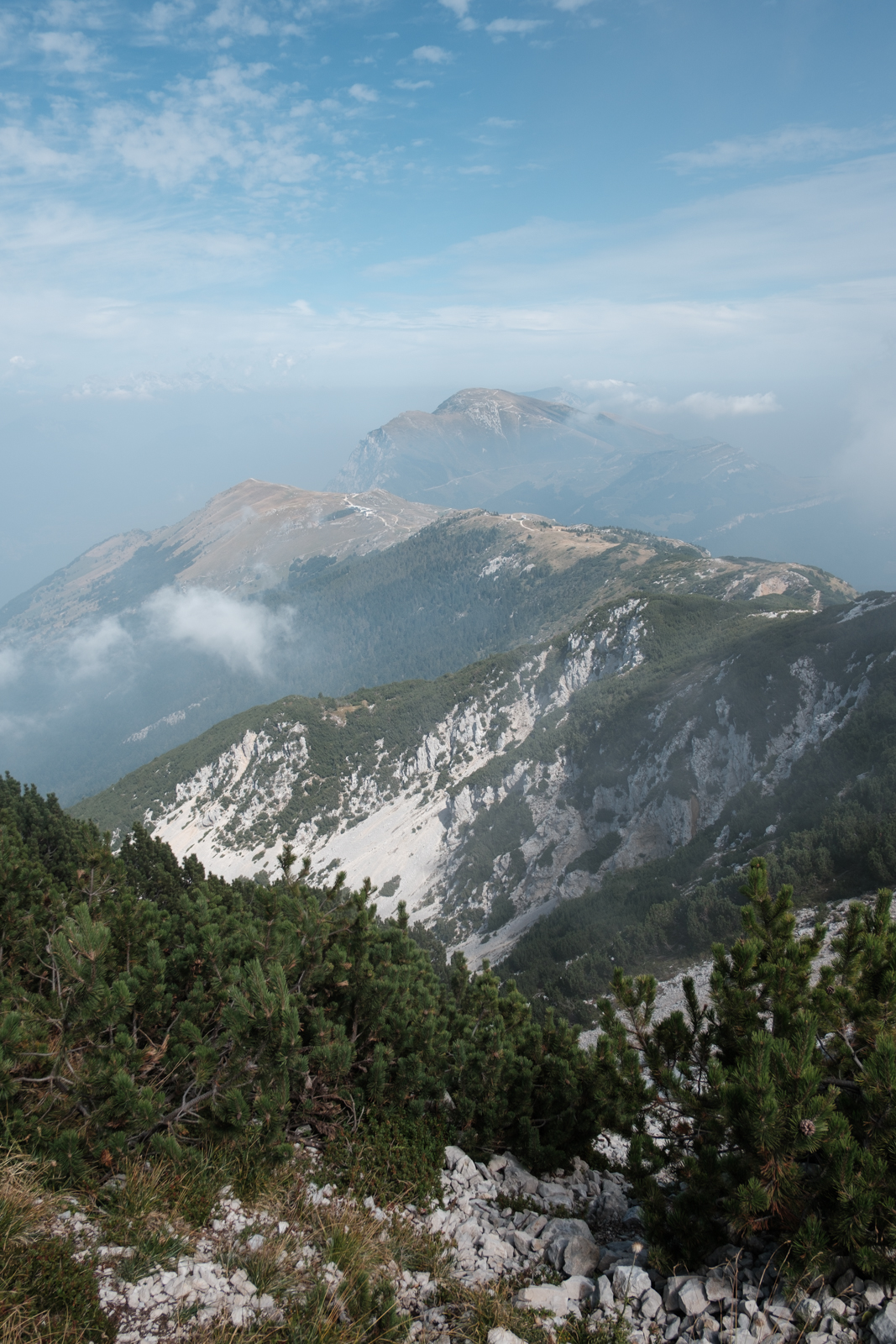  Rainer Wiest Kommunikationsdesign Portfoliobild