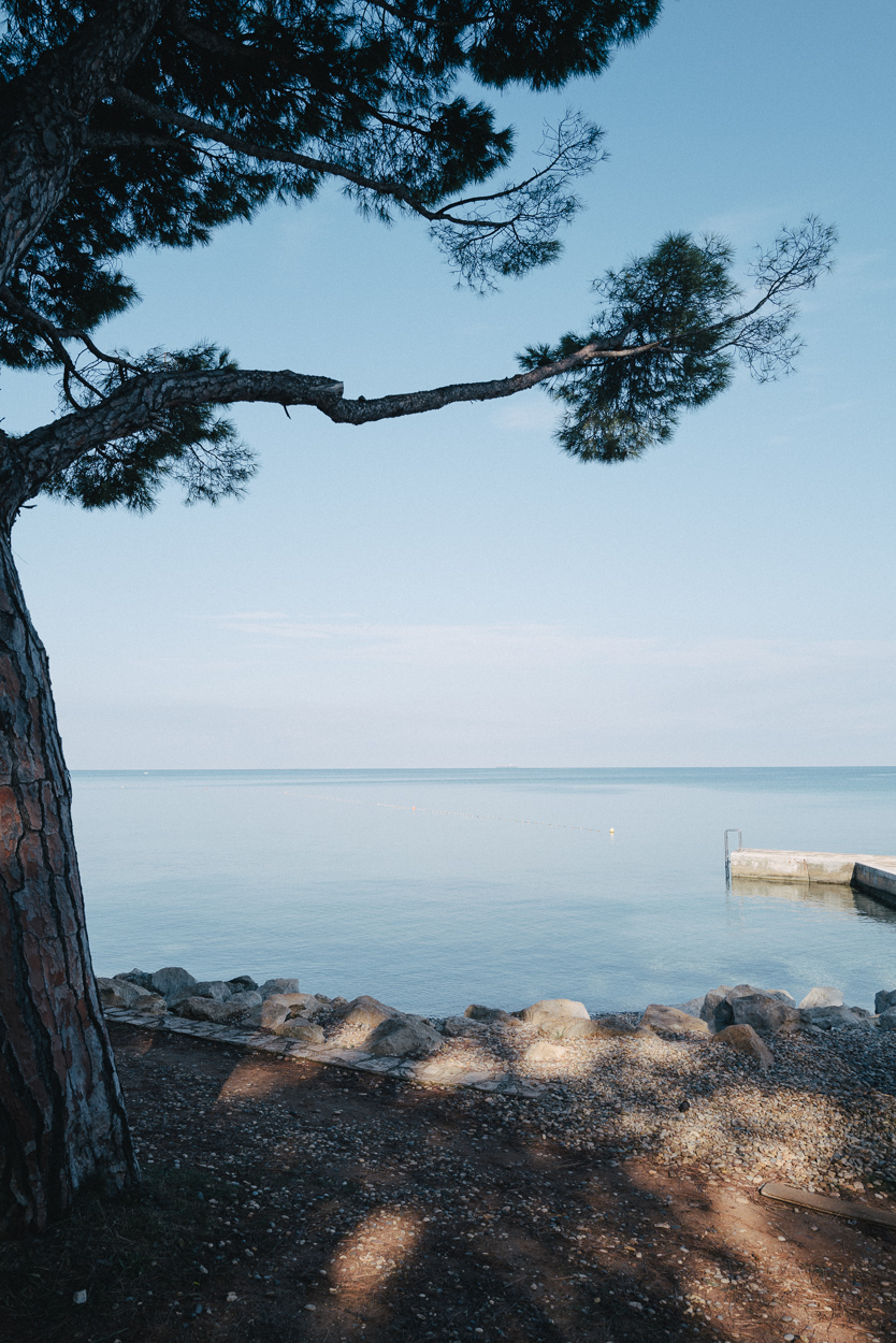  Rainer Wiest Kommunikationsdesign Portfoliobild